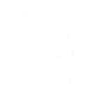 bee-white